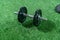 Dumbbells, weight discs, gloves and accessories for sport, on the grass, Fitness