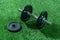 Dumbbells, weight discs, gloves and accessories for sport, on the grass, Fitness