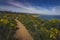 Dume Cove Spring Wildflowers