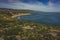 Dume Cove Spring Wildflowers