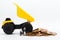 Dump truck pouring coins. Image use for money and business financial concept
