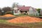 Dumped Carrot Crop Tasmania