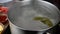 Dumplings boiled in hot water in saucepan with bay leaf on domestic kitchen.