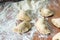 Dumplings, dough and rocking