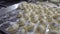 Dumplings lie on the baking tray in rows.