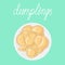 Dumplings pierogi, varenyky, pelmeni on a plate. Vector hand drawn illustration.