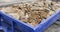 Dumpster filled with sidewalk concrete debris