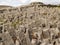 Dun Angus fort, Inishmore