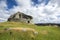 Dun Carloway Broch, Isle of Lewis, Outer Hebrides.