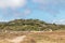 Dunas de Cucao Beach at Chiloe National Park - Chiloe Island, Chile