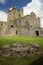 Dunbrody Abbey. county Wexford. Ireland.