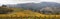 Dundee Oregon Vineyards Scenic Panorama