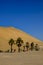 Dune 7 palm trees Namibia