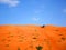 Dune bashing with 4 wheels truck in Wahiba desert, Oman