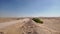 Dune Bashing in Desert of Oman