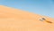 Dune bashing on summer, blur movement of sand