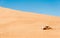 Dune bashing on summer, blur movement of sand