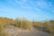 Dune on the beach of Warnemuende