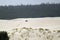 Dune buggy in the sand dunes