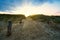 Dune crossing to the beach. On the beach of BlÃ¥vand in Denmark . Landscape shot