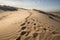 dune filled with intricate patterns of footprints left by passersby