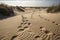 dune filled with intricate patterns of footprints left by passersby