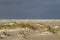 Dune forming on a stormy beach