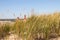 Dune Grass and Lighthouse