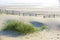 Dune Grass and Sandy Beaches