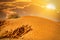Dune im desert
