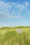 Dune landscape at the Dutch coast