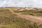 Dune landscape in the Netherland