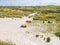 Dune landscape with people walking in nature reserve Het Oerd on West Frisian island Ameland, Friesland, Netherlands