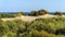 Dune landscape with sailboat in background in Spain