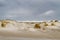 Dune landscape and sea on the Dutch coast; sand, sea and Marram grass