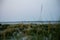 Dune landscape in St. Peter Ording with the Westerhever lighthouse in the background