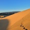 Dune Maspalomas