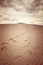 Dune of Pilat, the tallest sand dune in Europe