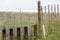 Dune  protection fence at Westport beach