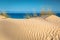 Dune of Punta Paloma, Tarifa, Andalusia, Spain