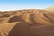 Dune riding in arabian desert