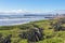 Dune Vegetation Coastal Landscape in Durban South Africa