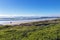 Dune Vegetation Coastal Landscape in Durban South Africa