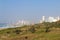 Dune Vegetation Coastal Landscape in Durban South Africa