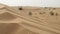 Dune in the wind. Sand in the desert.