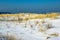 Dune in winter time in Warnemuende, Germany