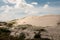 Dunes area called the `schoorlse duinen`