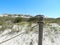 Dunes on the Baltic Sea. Summer, vacation on beach. Beautiful sandy landscapes.