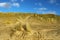Dunes, beach, marram grass