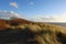 Dunes, beach, marram grass